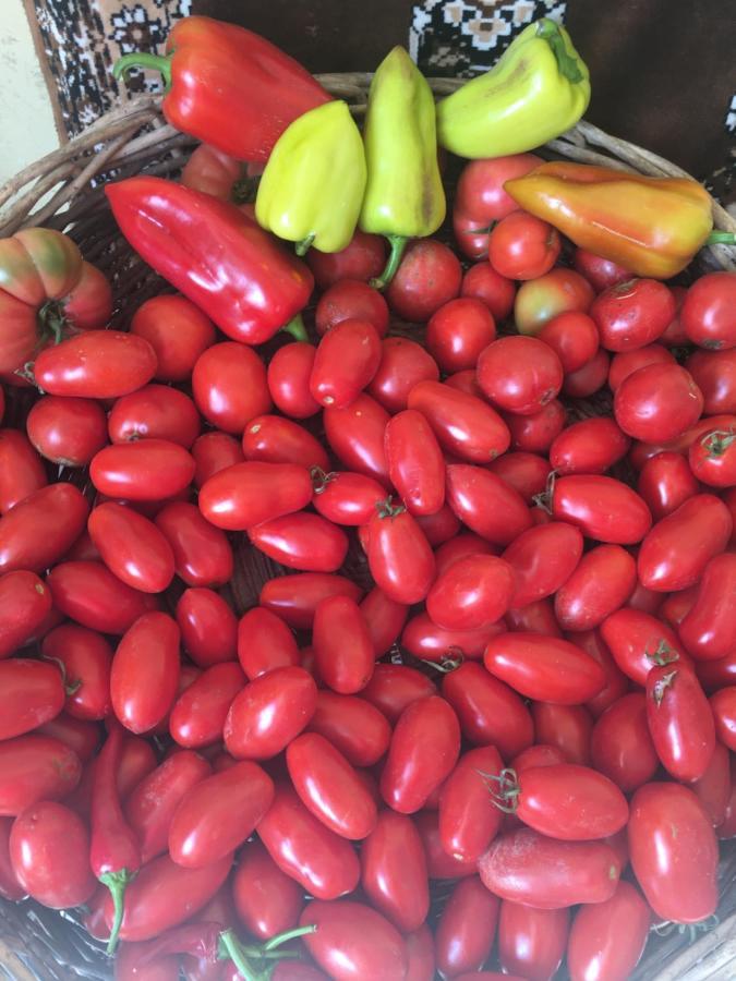 غوري Ekas Rosengarten المظهر الخارجي الصورة